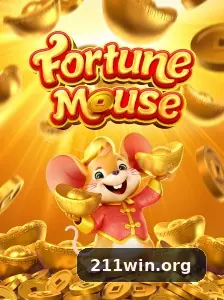 211win destaque
